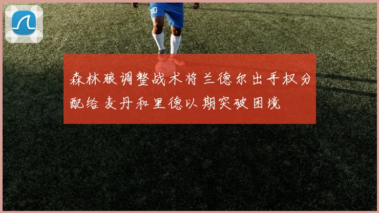 森林狼调整战术将兰德尔出手权分配给麦丹和里德以期突破困境