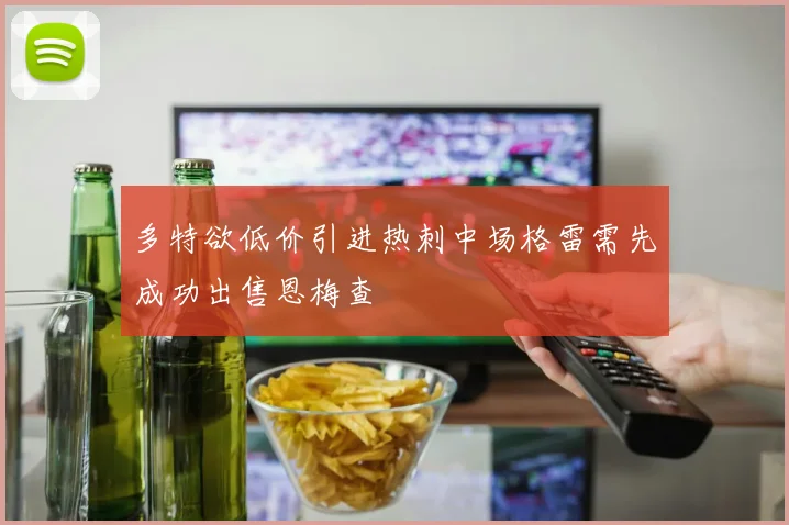 多特欲低价引进热刺中场格雷需先成功出售恩梅查